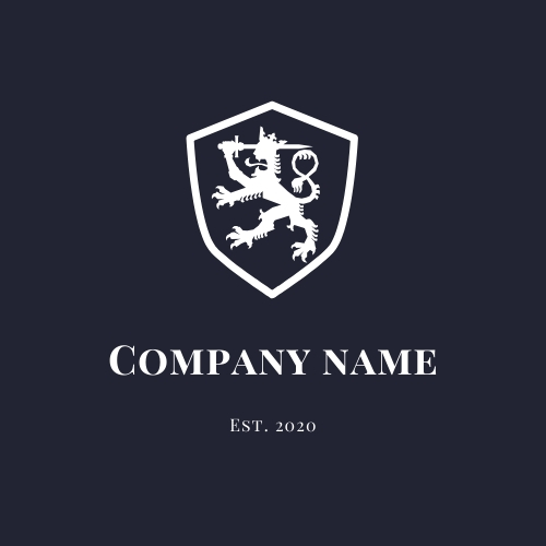 I will do a professional logo in 24 Hours