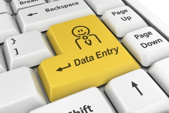 i provide data entry typing, copy paste tasks, offlin...