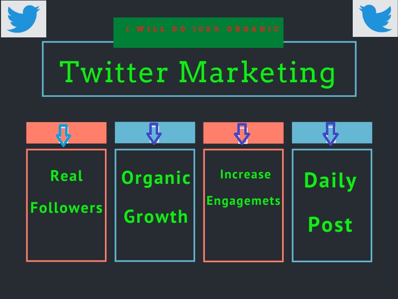 I will do professionally twitter marketing and promot...
