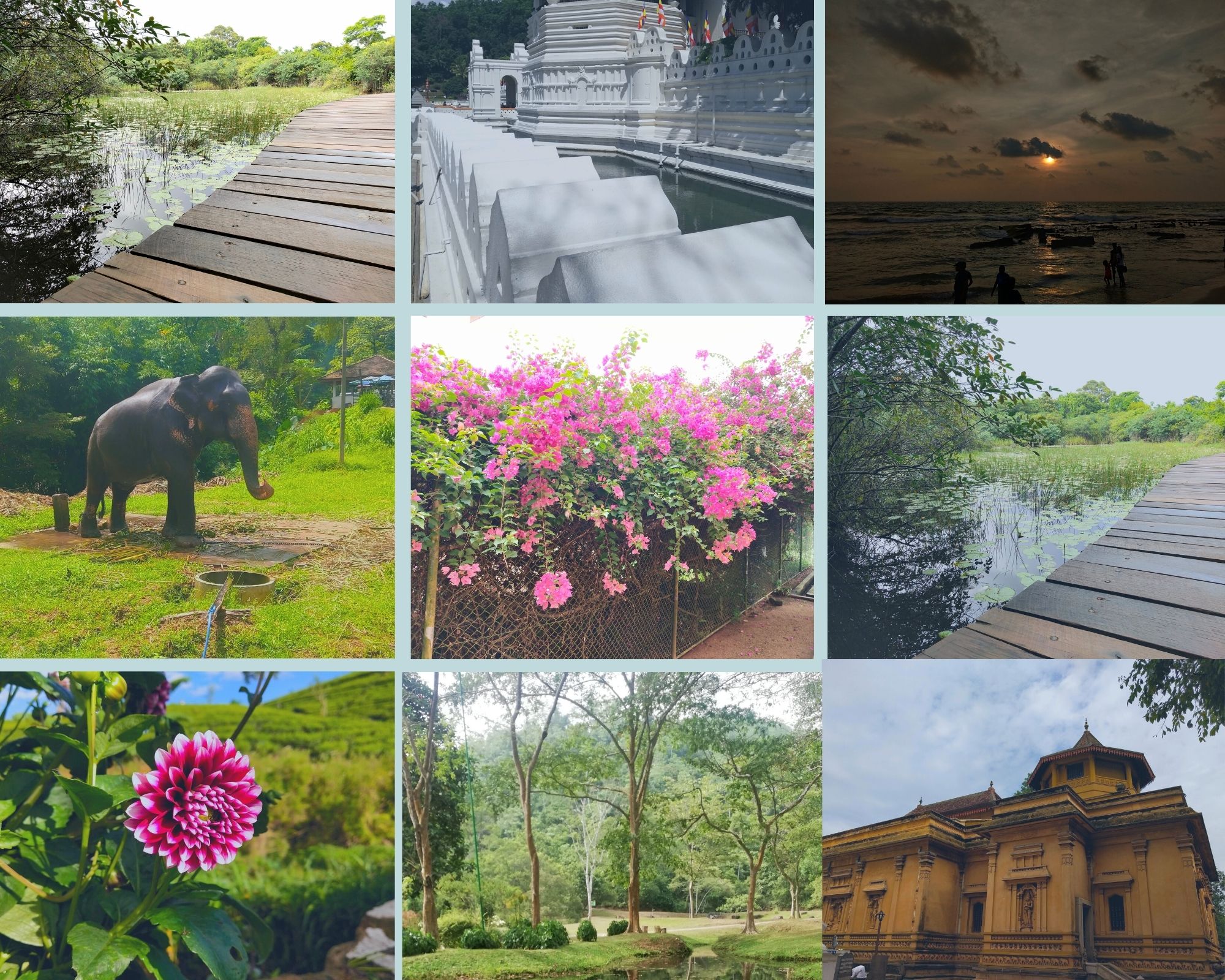 50 high-quality nature Digital photos