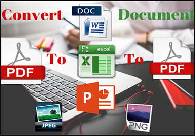 I will convert PDF to word, PDF to excel, image/sca...