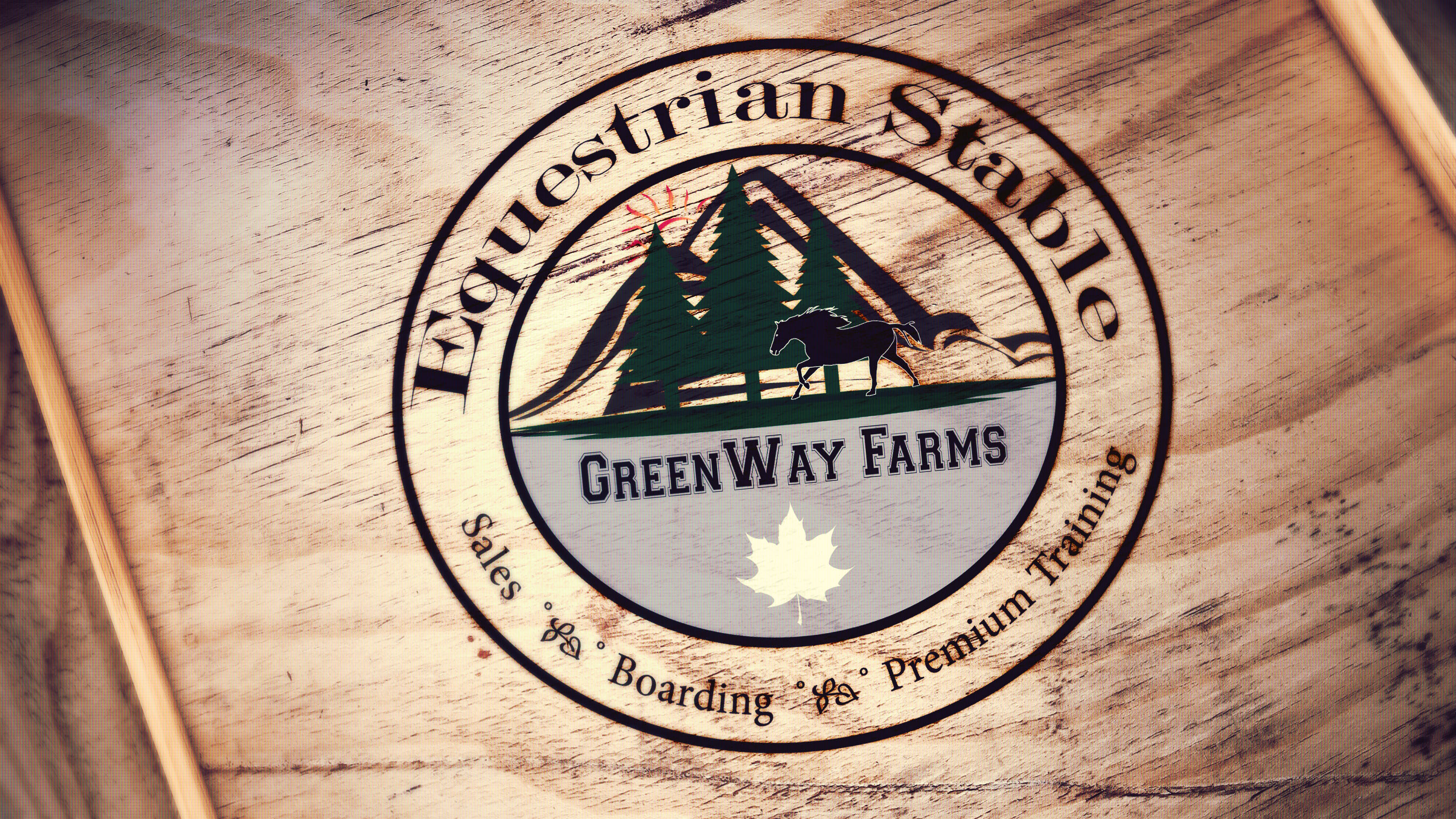 Best Logo Design for your Company or Brand