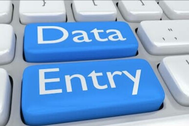 I will be your virtual assistant all your data entry ...