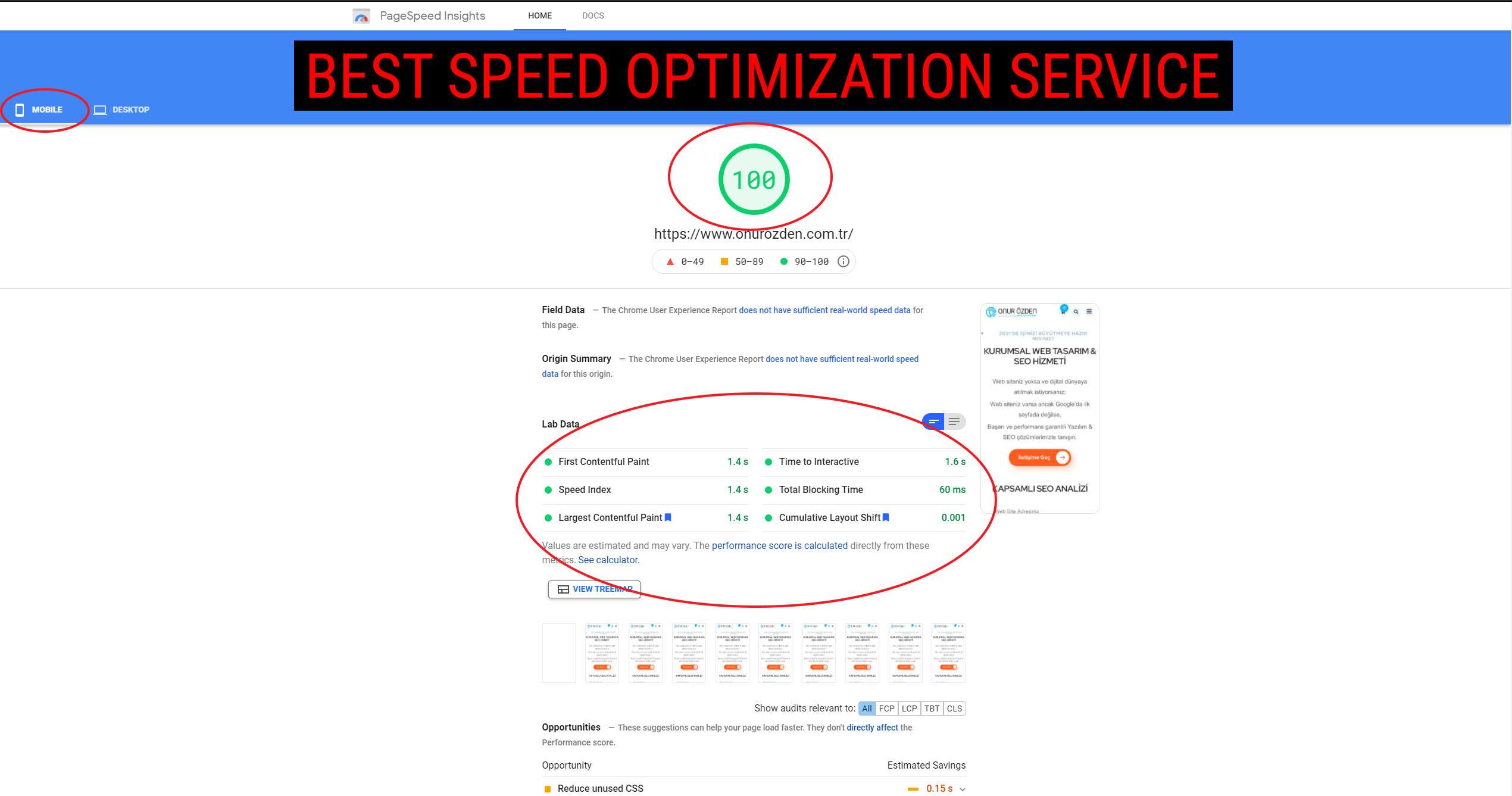 l will increase wordpress speed for google pagespeed ...