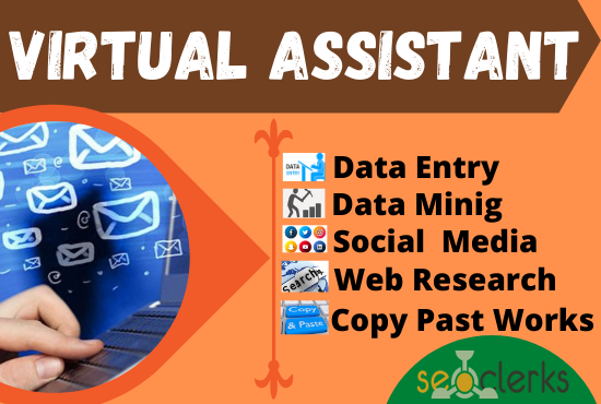 I will be your ideal virtual assistant for data minin...