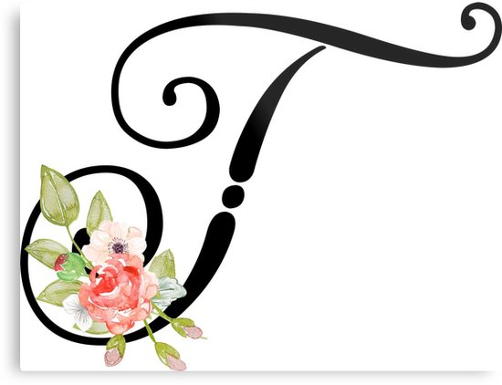 Graphic designing, logo designing, photo editing