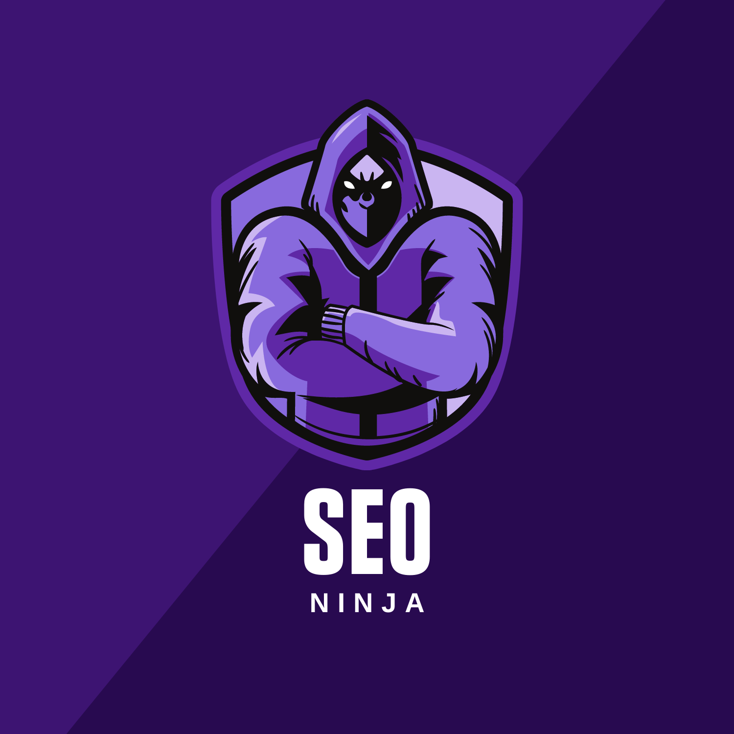 Providing you a high-quality, financially viable SEO...