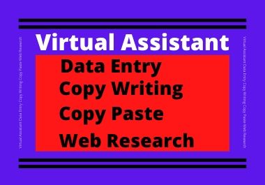 I will be a virtual assistant for data entry, copy w...