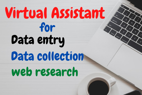 I will be your virtual assistant for perfect data ent...