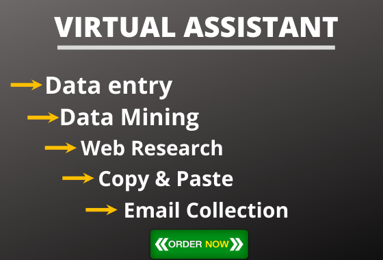 I will be your Virtual Assistant for data entry, copy...