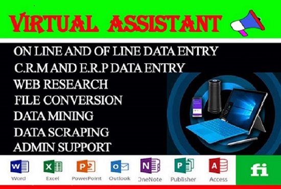 I will be your reliable virtual assistant for data en...