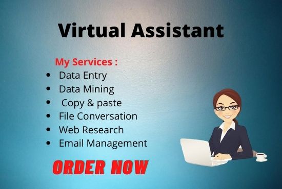 I will be your virtual assistant, analytics, resear...