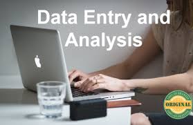 I will do data entry, data analysis, data cleaning,...