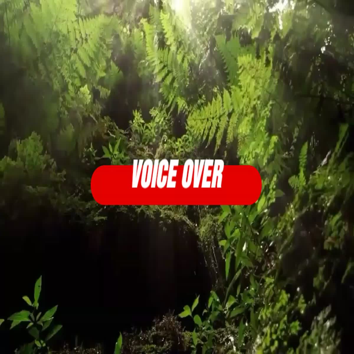 I am good at working with voiceover, We are a team wo...