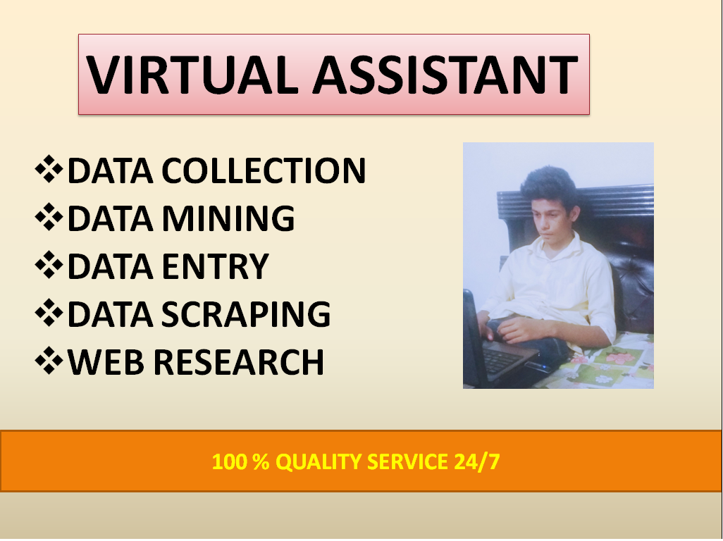 I will be your virtual assistant for data related wor...