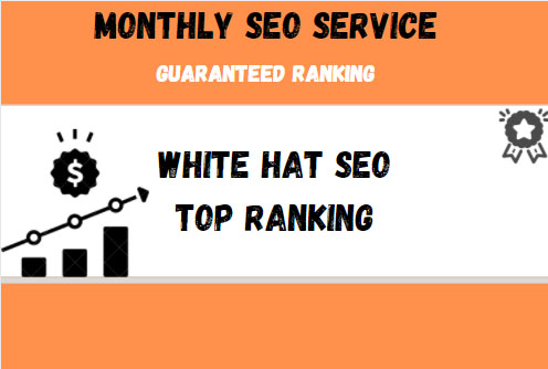 Provide a Complete monthly SEO Service With backlinks...