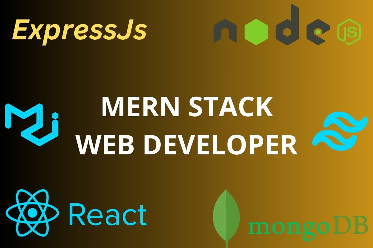 I will develop custom web application using mern stac...