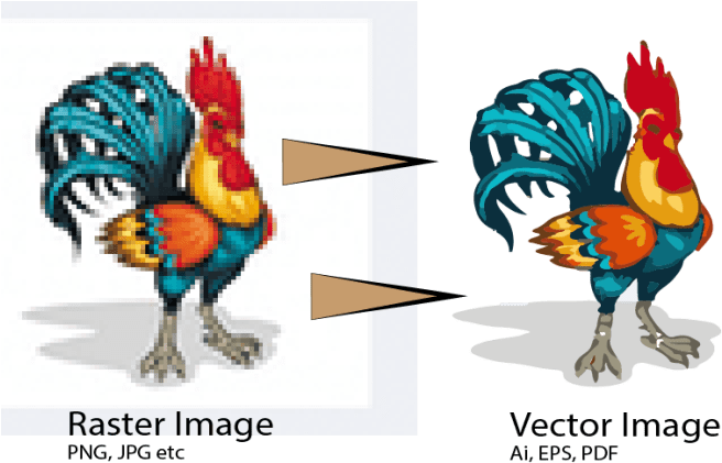 I am a professional vector tracer in the market I wil...