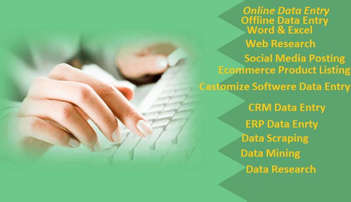 I will do Data Entry, Internet Research, Data Analy...