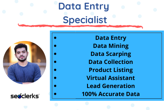 I will do Excel Data Entry and Web Research For Your ...
