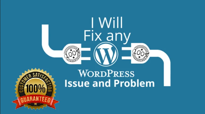 I will fix any issues or error of wordpress website f...