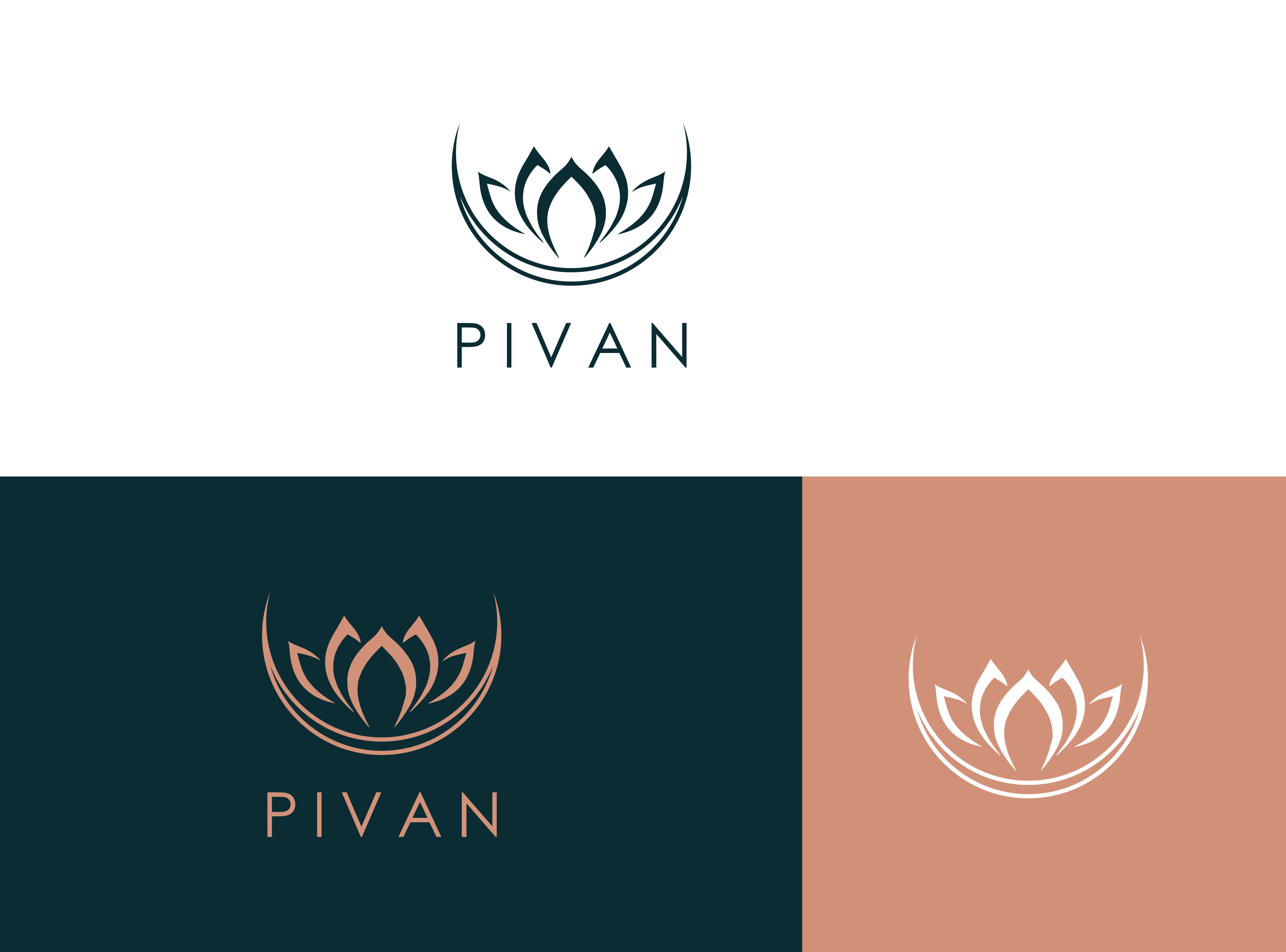 I will design professional logo design within 12 hour...