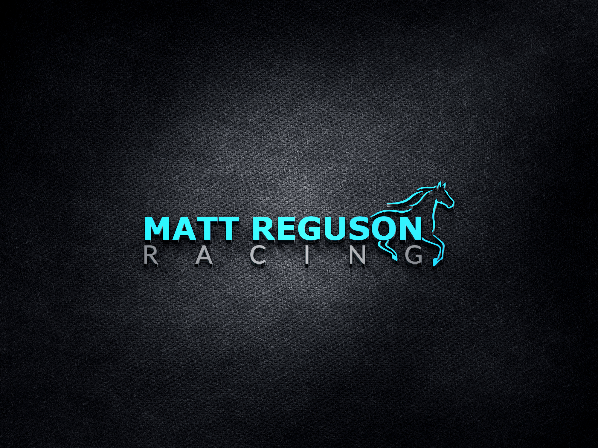 I will do professional and minimal logo within