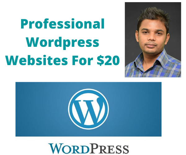 I will create professional wordpress website for your...