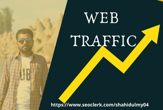 I will bring real visitors, targeted web traffic boo...