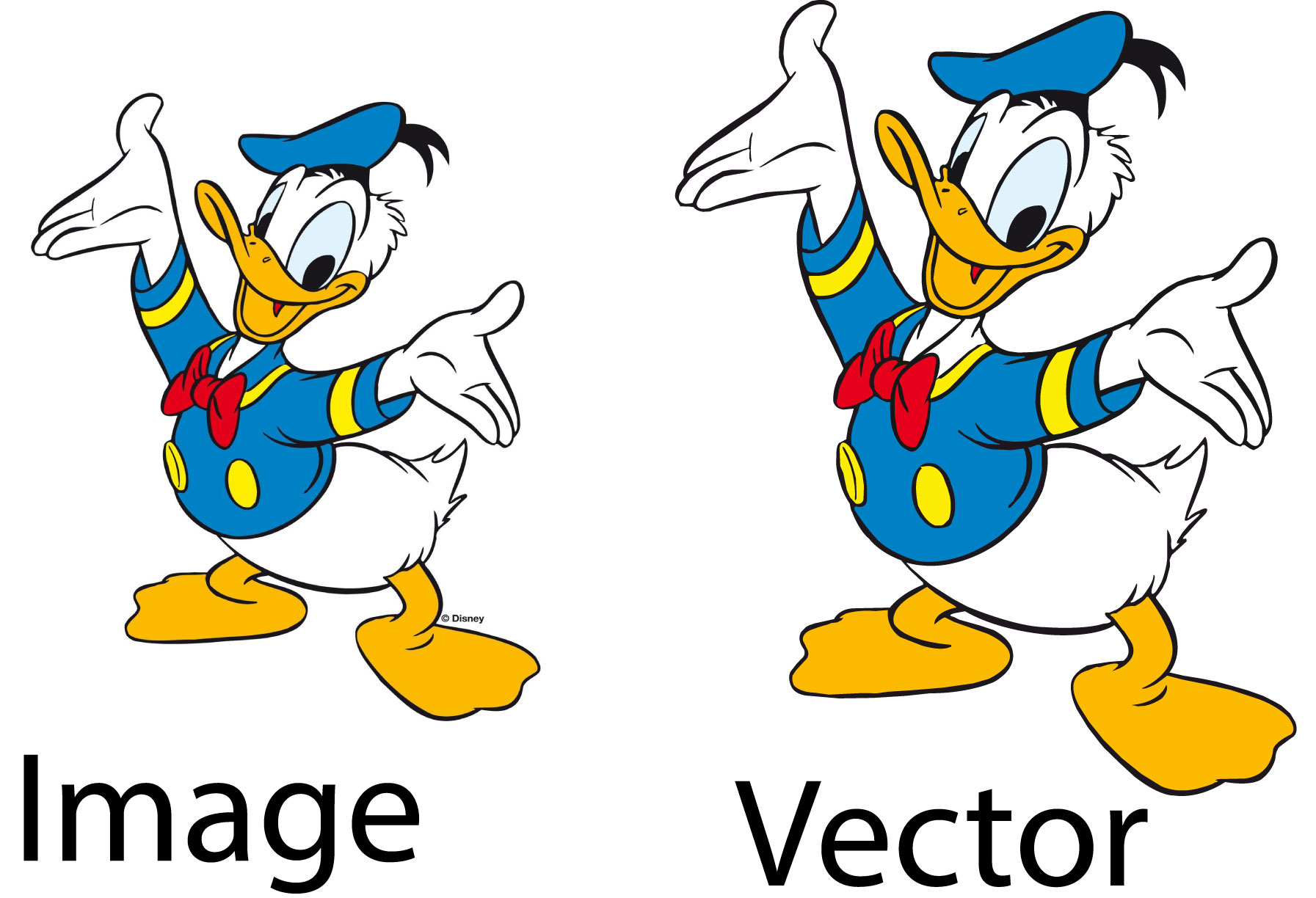 I will create your logo or image to vector profession...
