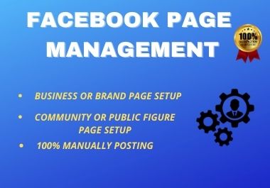 I will Manage and Create a Professional Facebook busi...