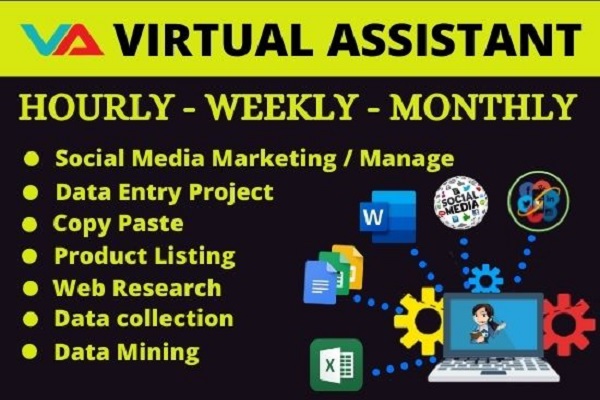 I will be your professional virtual assistant for any...