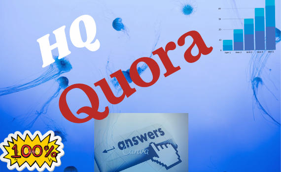 Service you 10 high quality quora answer for website ...
