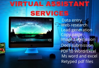 I will be your perfect Virtual Assistant for data ent...