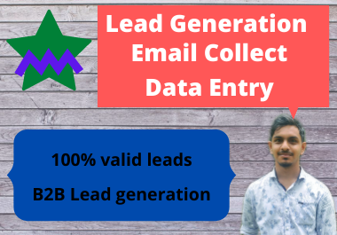I will do targeted lead generation email list from li...