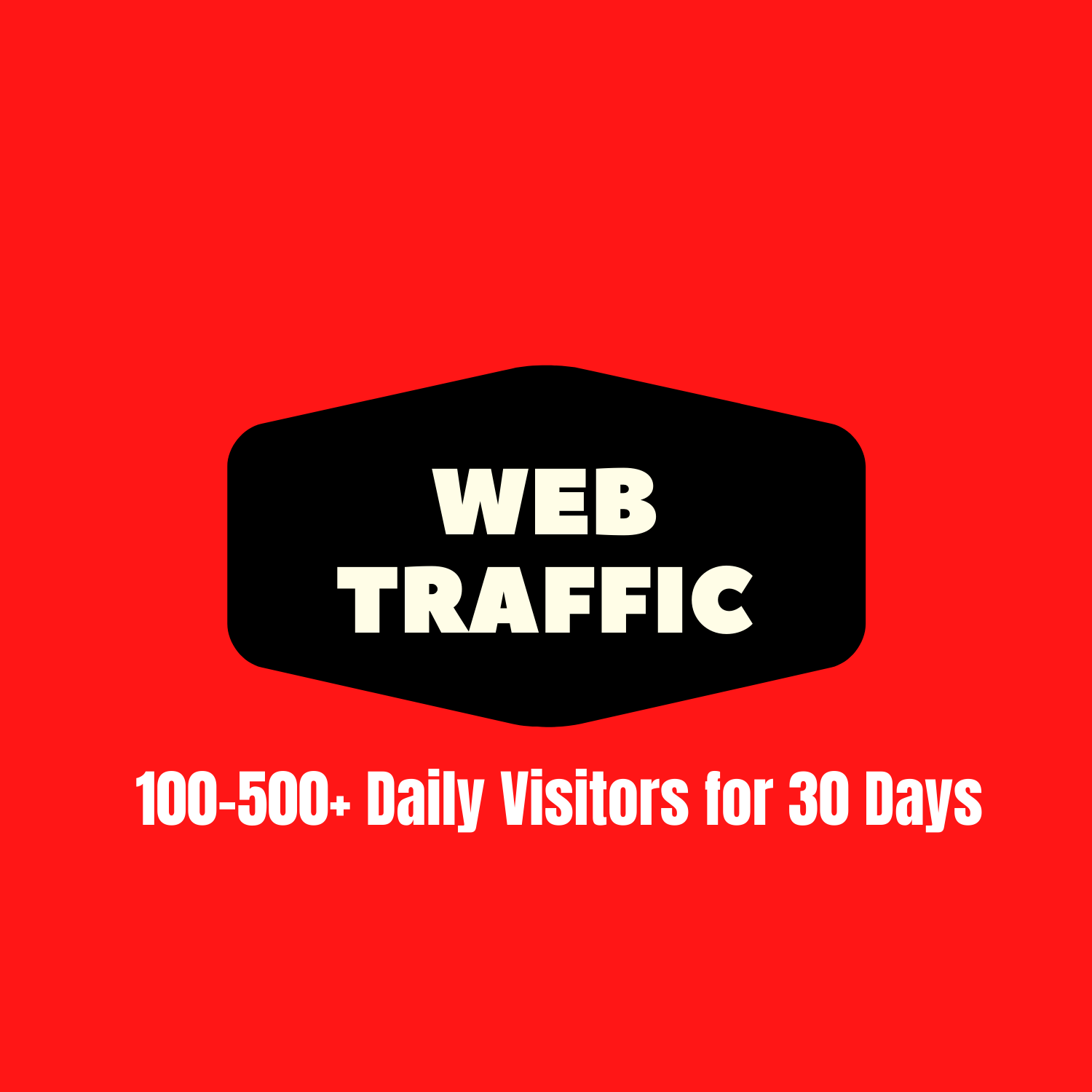 I will deliver real organic targeted traffic to your ...