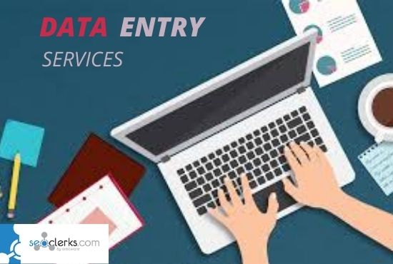 I Will manually do your data entry 99.9 Accurate
