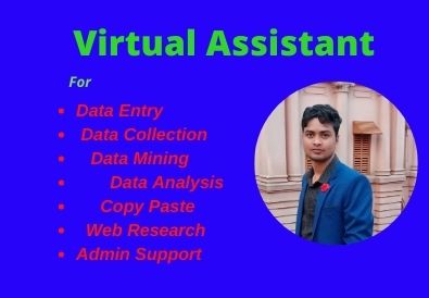 I wil Be your Virtual Assistant For Data Entry Copy P...