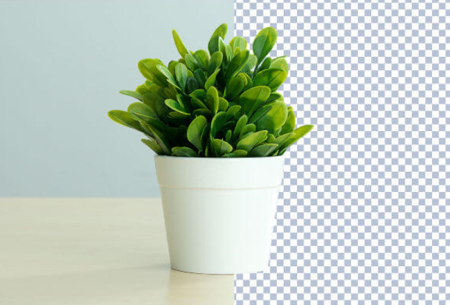 I will provide background remove services 5 within 7 ...