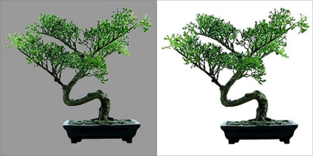 I will do Photo background remove and clipping path l...