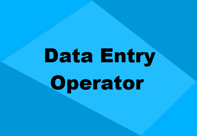 I will provide any kind of data entry work