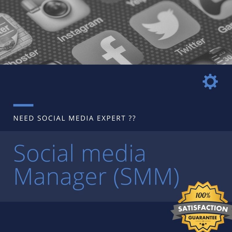 I will be your digital social media manager and marke...