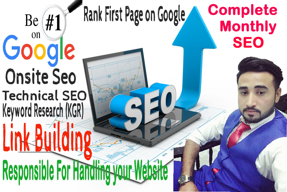 i will provide you monthly seo for your website, blog...