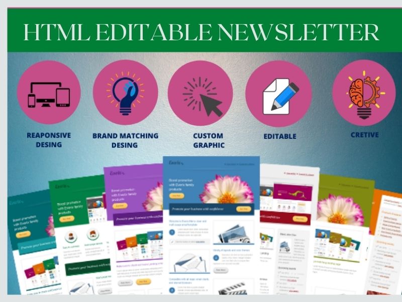I will design a professional HTML email newsletter or...