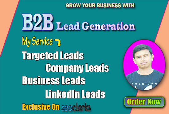 I will do B2B lead generation and web research for yo...