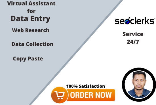 I will do data entry, web research, Data collection ...