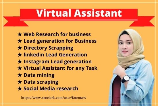 I will do diligent virtual assistant for data entry, ...