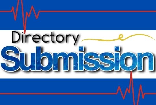 I will do niche directory submission or local SEO cit...