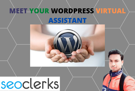 I will be your WordPress virtual assistant and manage...