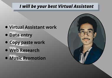 I will be your best Virtual Assistant for many kind o...